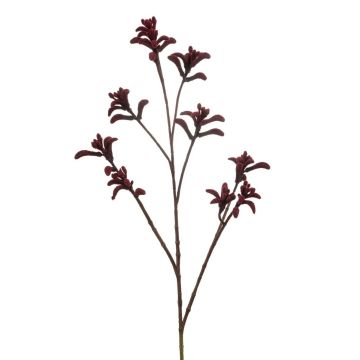 Künstliche Kängurublume LUINA, burgunderrot, 85cm Künstliche Kängurublume LUINA, burgunderrot, 85cm