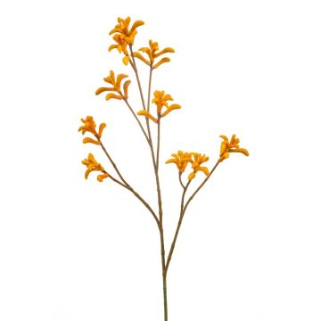 Künstliche Kängurublume LUINA, orange, 85cm Künstliche Kängurublume LUINA, orange, 85cm