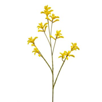 Künstliche Kängurublume LUINA, gelb, 85cm