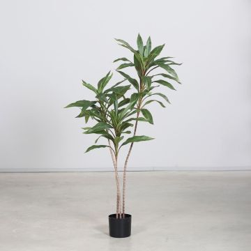 Kunstbaum Dracaena Fragrans NELITA, Kunststamm, grün, 120cm