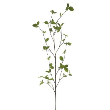 Deko Zweig Buche KIRENAH, grün, 165cm