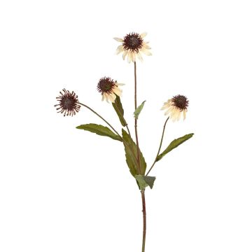 Dekozweig Sonnenhut ELISSENDA, lachs, 70cm