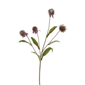 Dekozweig Sonnenhut ELISSENDA, mauve, 70cm