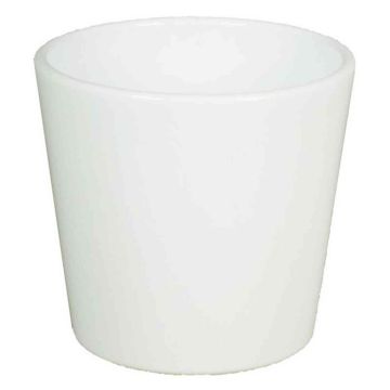 Keramiktopf für Orchideen BANEH, weiß, 12,5cm, Ø13,5cm Keramiktopf für Orchideen BANEH, weiß, 12,5cm, Ø13,5cm