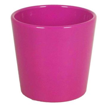 Keramiktopf für Orchideen BANEH, pink, 12,5cm, Ø13,5cm Keramiktopf für Orchideen BANEH, pink, 12,5cm, Ø13,5cm