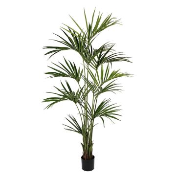 Kunstpalme Kentia FAMINNA, 250cm