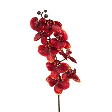 Kunst Phalaenopsis Orchidee FEMILLA, dunkelorange, 95cm Kunst Phalaenopsis Orchidee FEMILLA, dunkelorange, 95cm