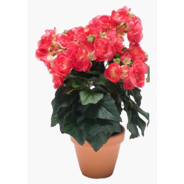 Kunstblume Begonie CATINKA im Terracotta Topf, pink, 30cm Kunstblume Begonie CATINKA im Terracotta Topf, pink, 30cm