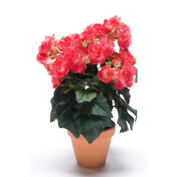 Kunstblume Begonie CATINKA im Terracotta Topf, pink, 30cm