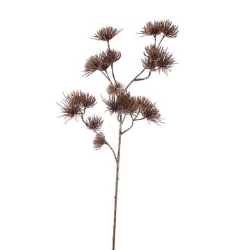 Deko Zweig Wilde Möhre HALONIA mit Blüten, gefroren, braun, 60cm