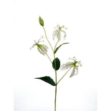 Deko Zweig Gloriosa JARENIA, weiß, 80cm