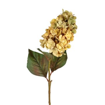 Kunstblume Hortensie GINADELA, grün, 70cm Kunstblume Hortensie GINADELA, grün, 70cm