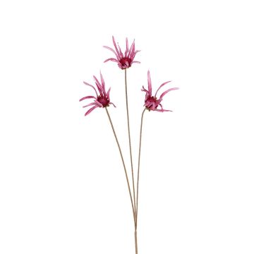 Dekozweig Sonnenhut HERILIA, rosa, 100cm