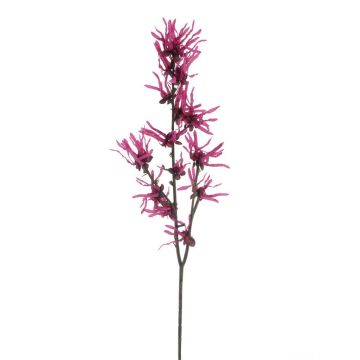 Deko Zweig Zaubernuss HELYRA mit Blüten, pink, 75cm