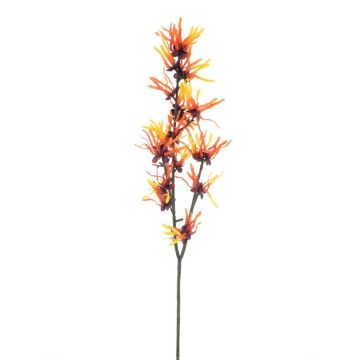 Deko Zweig Zaubernuss HELYRA mit Blüten, orange, 75cm