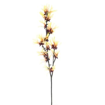 Deko Zweig Zaubernuss HELYRA mit Blüten, gelb, 75cm