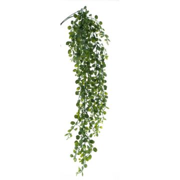 Kunstpflanze Mühlenbeckia KRYSENA, hängend, grün, 85cm Kunstpflanze Mühlenbeckia KRYSENA, hängend, grün, 85cm