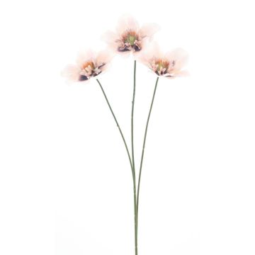Deko Zweig Christrose PAROLINA, hellrosa, 50cm Deko Zweig Christrose PAROLINA, hellrosa, 50cm