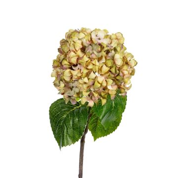 Dekoblume Hortensie KIRAMA, grün, 60cm Dekoblume Hortensie KIRAMA, grün, 60cm