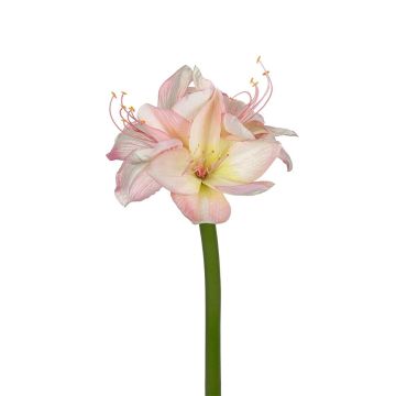 Künstliche Blume Amaryllis LLEINA, rosa, 65cm Künstliche Blume Amaryllis LLEINA, rosa, 65cm