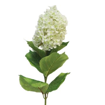 Kunstblume Hortensie Paniculata ILVYRA, weiß, 85cm