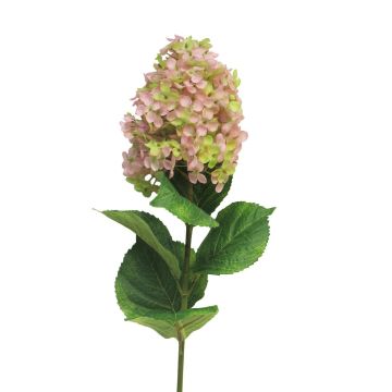 Kunstblume Hortensie Paniculata ILVYRA, rosa, 85cm