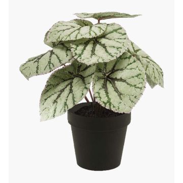 Kunstpflanze Blattbegonie MEIRA, grün-grau, 25cm