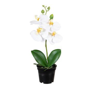 Kunstblume Phalaenopsis Orchidee MISSANI, Wurzeln, weiß, 35cm Kunstblume Phalaenopsis Orchidee MISSANI, Wurzeln, weiß, 35cm