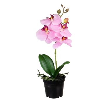 Kunstblume Phalaenopsis Orchidee MISSANI, Wurzeln, rosa, 35cm Kunstblume Phalaenopsis Orchidee MISSANI, Wurzeln, rosa, 35cm
