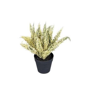 Künstliche Blume Erika NADDILA im Dekotopf, creme, 26cm Künstliche Blume Erika NADDILA im Dekotopf, creme, 26cm