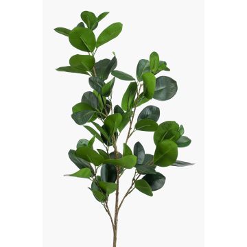 Kunstzweig Ficus Panda BANDE, grün, 90cm