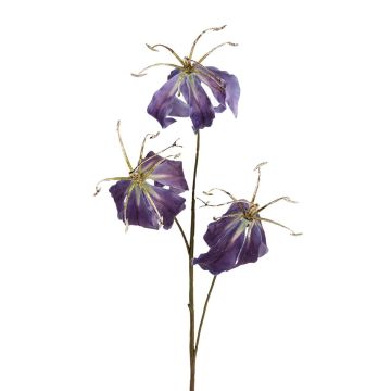 Künstlicher Zweig Gloriosa NANIELA, blau-mauve, 80cm
