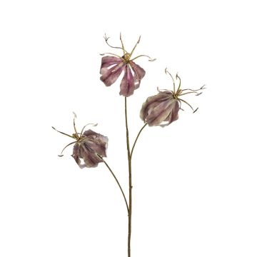Künstlicher Zweig Gloriosa NANIELA, grün-mauve, 80cm