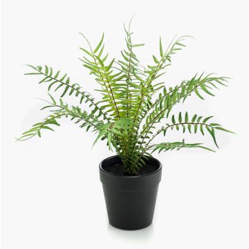 Kunstpflanze Farn Rippenfarn CASCOT, grün, 20cm