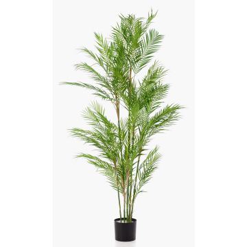 Kunst Palme Bergpalme REDOVAN, 180cm