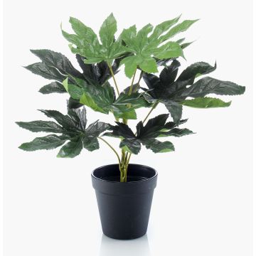 Kunstpflanze Aralia TEULADA, grün, 30cm
