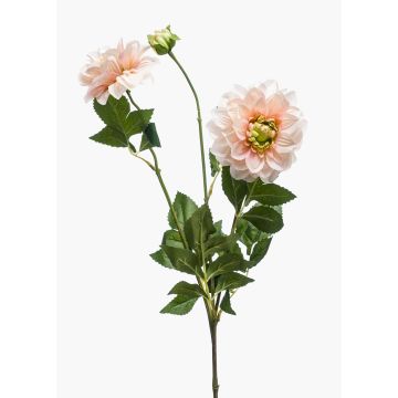 Dekoblume Dahlie NAXOS mit Blüten, rosa-grün, 70cm, Ø10-11cm