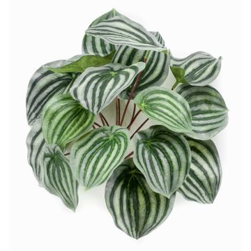 Kunst Pflanze Zwergpfeffer KEPANO auf Steckstab, grün-weiß, 25cm