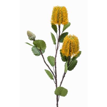 Kunstblume Banksia robur CONAKIR, gelb, 70cm
