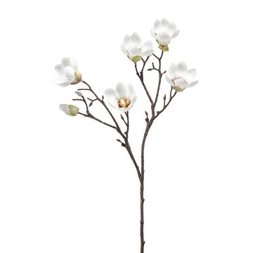 Kunstblume Magnolie ANEU, creme, 65cm, Ø7-8cm Kunstblume Magnolie ANEU, creme, 65cm, Ø7-8cm
