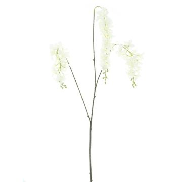 Deko Zweig Blauregen GUELLA mit Blüten, weiß, 110cm Deko Zweig Blauregen GUELLA mit Blüten, weiß, 110cm