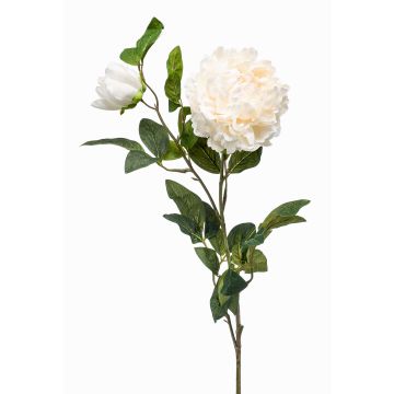 Große Kunstblume Pfingstrose ALEDIS, creme, 100cm, Ø7-17cm Große Kunstblume Pfingstrose ALEDIS, creme, 100cm, Ø7-17cm