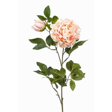 Große Kunstblume Pfingstrose ALEDIS, lachs, 100cm, Ø7-17cm Große Kunstblume Pfingstrose ALEDIS, lachs, 100cm, Ø7-17cm