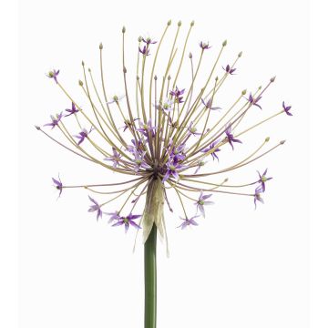 Große Kunstblume Allium GETARIA, lila, 105cm Große Kunstblume Allium GETARIA, lila, 105cm