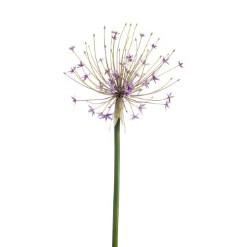 Große Kunstblume Allium GETARIA, lila, 105cm