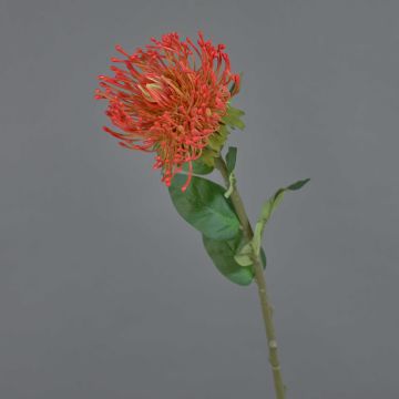 Kunstblume Nadelkissen Protea HERVAS, rot-orange, 70cm, Ø12cm