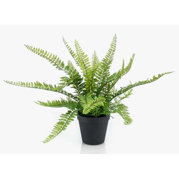 Farn künstlich Boston Farn MONTANES, grün, 35cm Farn künstlich Boston Farn MONTANES, grün, 35cm