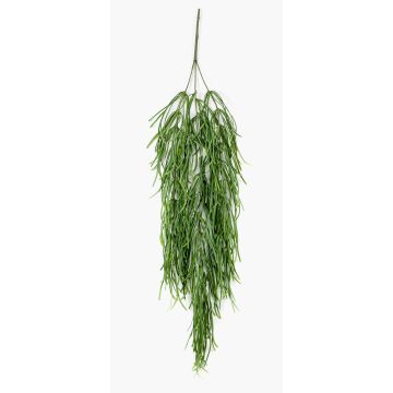 Kunst Sukkulente Rhipsalis Hänger TALIGA auf Steckstab, grün, 80cm
