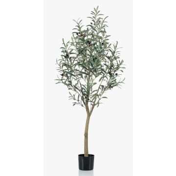 Kunst Olivenbaum CLAYTON, Kunststamm, mit Früchten, 140cm