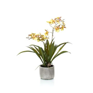 Kunst Oncidium Orchidee COLUNGA im Keramiktopf, gelb-orange, 45cm Kunst Oncidium Orchidee COLUNGA im Keramiktopf, gelb-orange, 45cm